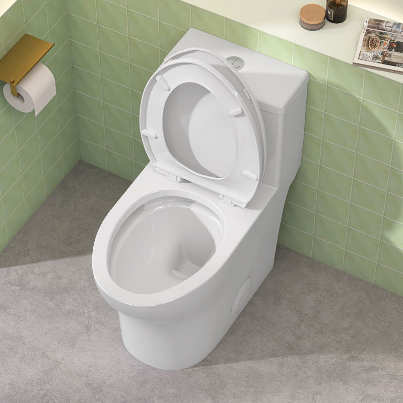 Toilette monobloc 19 po en céramique à double chasse avec siège confortable et hauteur d'assise conforme à l'ADA 19 po