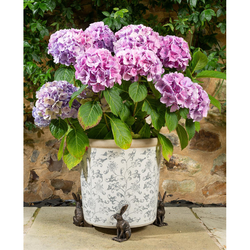 Eunice Weather Resistant Planter Feet