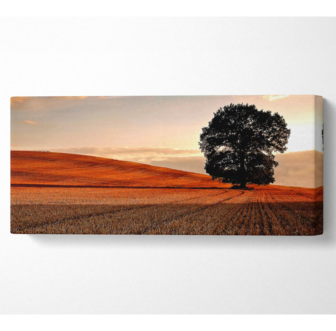 Einsamer Baum im Feld Herbst Panoramaleinwand