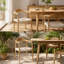 Chaise avec accoudoirs