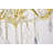 Dagmar 6-Light Dimmable Traditional Chandelier-32478753