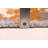 Legacy Grey Rug 6'6" x 9'8"
