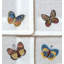 Flutter and Lace Cocktail Napkins 6x6 Inch