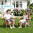 4-Person Folding Adirondack Chair Set – Hdpe All-Weather Outdoor Patio Seating With Dual Cup Holders-908761690