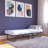 Folding Guest Bed With 4” Mattress