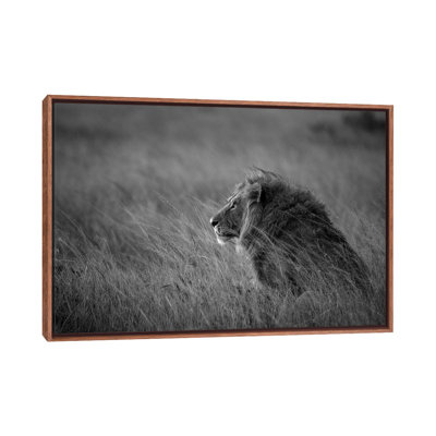 Lion King by Anura Fernando - Print on Canvas