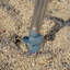 Parasol de plage Knobloch