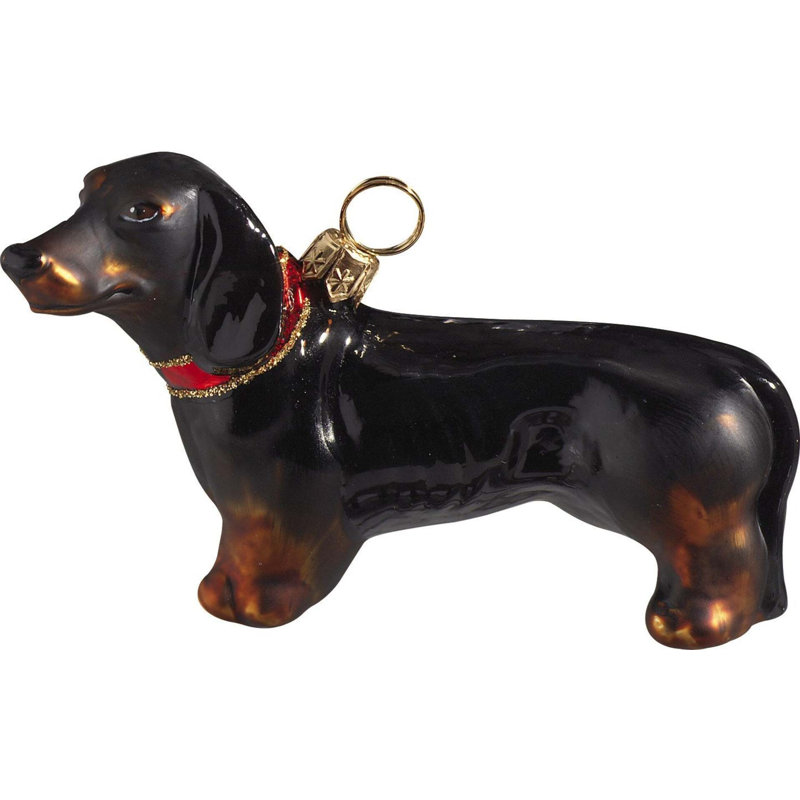 Dachshund Black