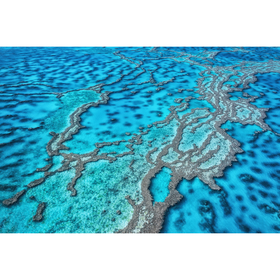 Great Barrier Reef, Queensland, Australia