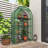 39''W x 17''D × 63''H Small Hobby Greenhouse