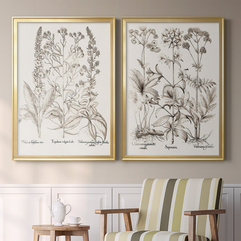 Sépia Besler Botanicals IX - ensemble de 2 reproductions d'art sur toile encadrées, Or, H 41,25 po x l 61 po x P 1,25 po