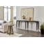 Chapman Shou Sugi Ban Console Table