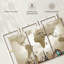 «Minimalist Travel To Places World Map», reproduction sur toile-1207453906