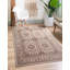 Oriental Indoor / Outdoor Area Rug-913228689