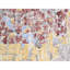 Neo Villa Area Rug-63321511