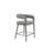 Carolin Comfy Cushioned Metal Counter Chair-287388538