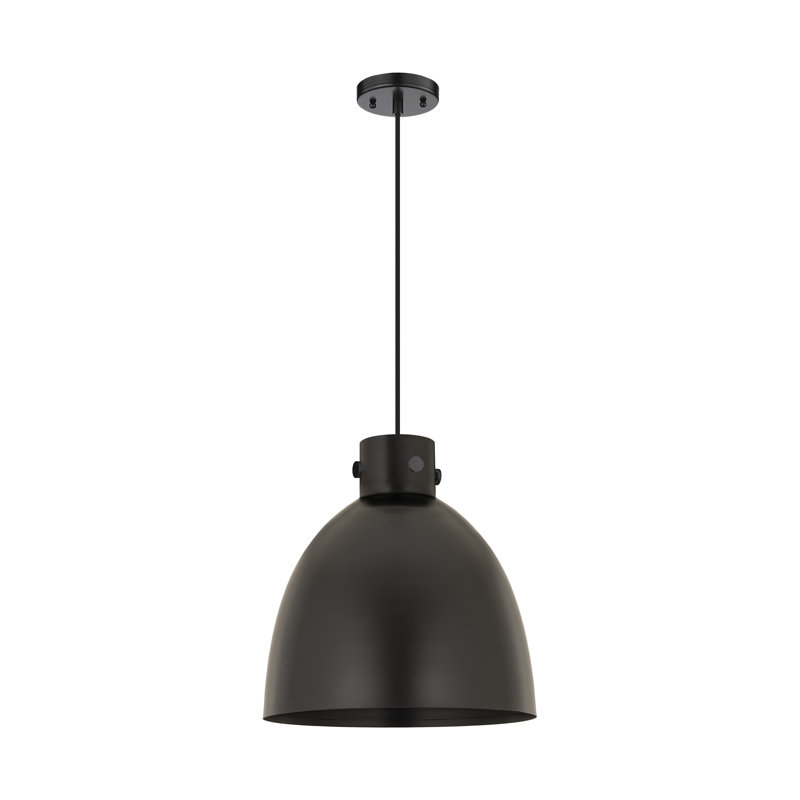 Luminaire suspendu 1 lumière, Noir mat