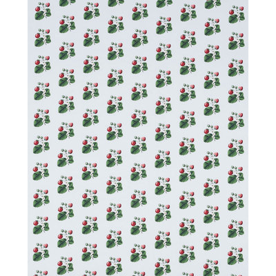 Schumacher x Johnson Hartig Strawberry Hill Fabric