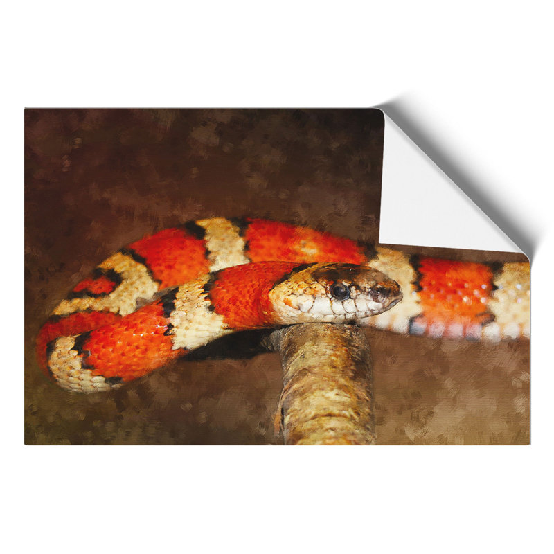 King Snake - No Frame Print, 21cm H x 30cm W x 0.1cm D