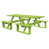 Lime tropicale