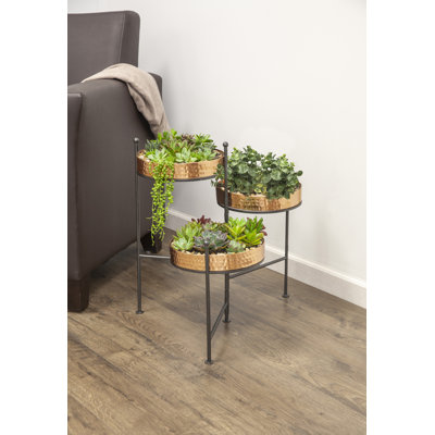 Arvind Metal Weather Resistant Plant Stand