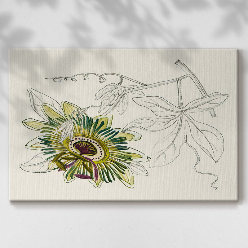 Passiflore III - Cavas enveloppés de galerie, 24 x 36