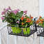 Plant Hanger