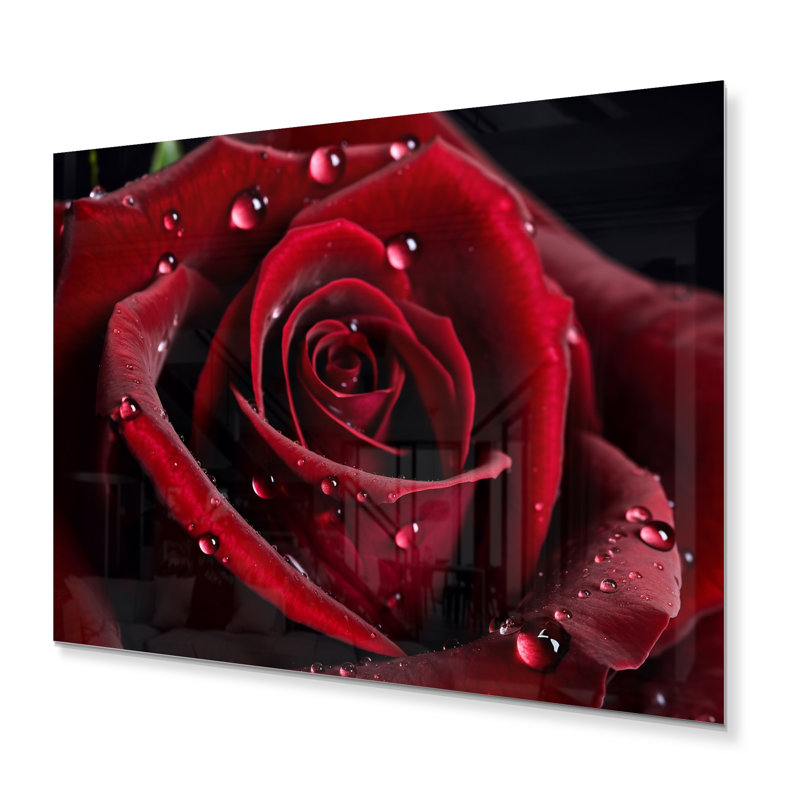 Rose rouge avec gouttes de pluie III - Roses, décoration murale en métal, H 34 po x l 44 po