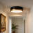 11.8in 24W LED FLush Mount Ceiling Light