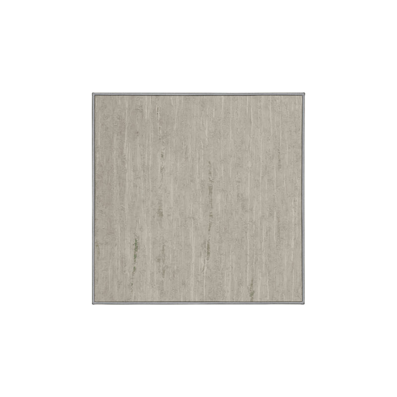 Tapis gris soyeux et moelleux, Carré 5 pi