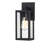 Tornillo 1-Light Outdoor Wall Lantern-86138605-88045559