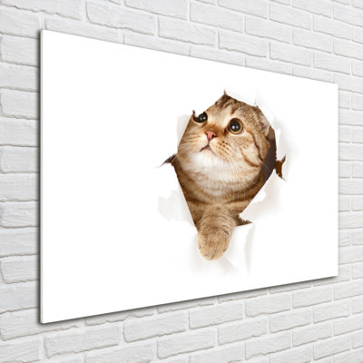 Cat - No Frame Print on Glass