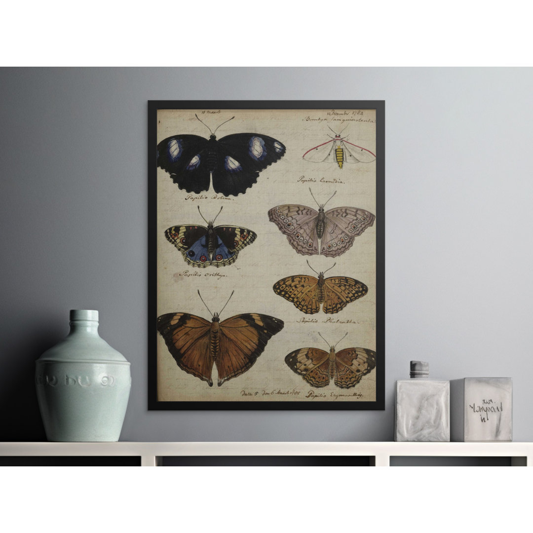 No Frame Print