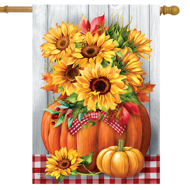 Tournesols dans le drapeau de la citrouille, Automne orange/jaune/rouge