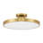 Thayer 1-Light LED Ceiling Light in Brass-4897779