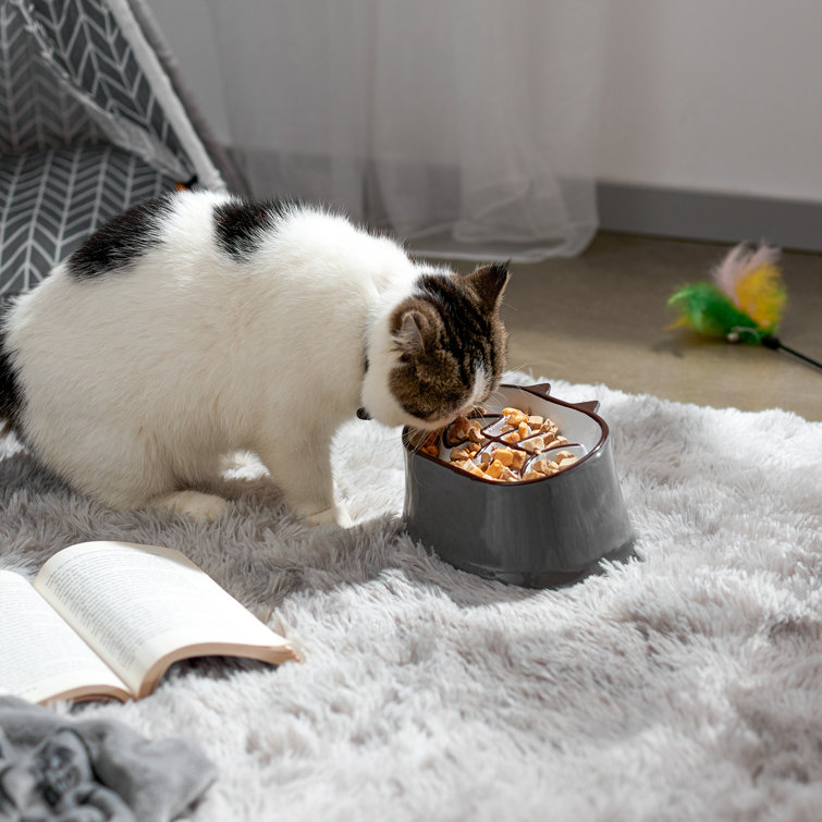 Raised Slow-feeder Cat Bowl 