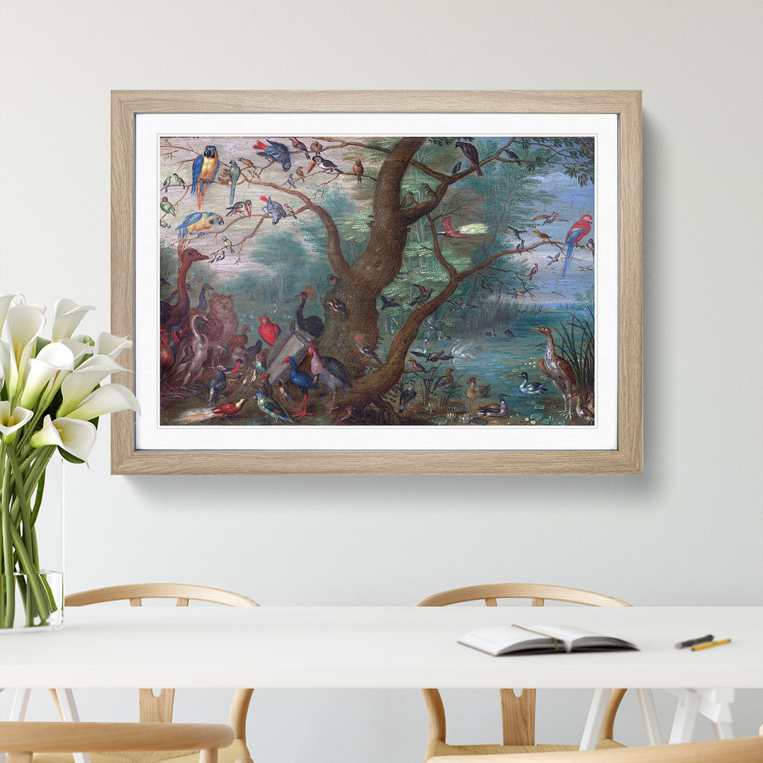 Concert of Birds by Jan Van Kessel - Picture Frame Painting