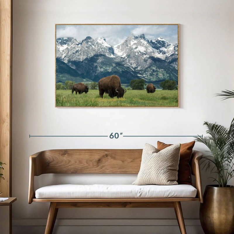 Bison Teton broutant, Cadre flottant en bois naturel, 43 po x 29 po