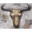 Bull Skull Typography Braided Polyester Placemats Set of 4