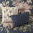 Cotton Percale Comforter 8 Piece Set-116312088