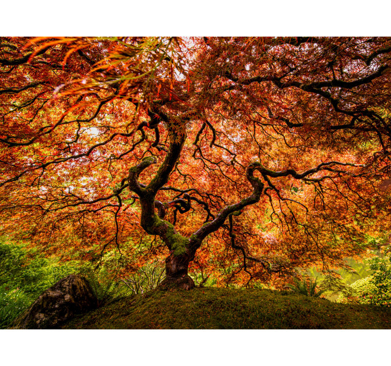 Wrapped Canvas Print, 60.96 cm H x 91.44 cm W