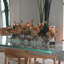 Glass Plate Magnolia Floral Arrangement And Centerpiece In Planter-2118726096-2065420248