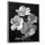 Monochromes blancs et noirs, botanique, géraniums - géraniums, impression d'art mural-1599166111-1599166098
