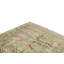 Oriental Area Rug