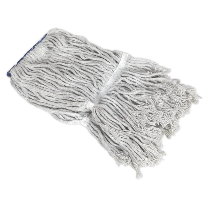 Shantae Mop Head Set