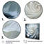 Seashell Monochromatic Whispers I - Animals Wall Art Living Room-580997673-580997679
