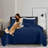 Microfiber Embossed Bedspread Set-1446931062-1410327544