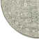 Benson Oriental Indoor Rug