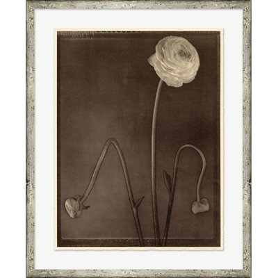 Sepia Flowers Print by Bespoke By Baker