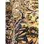 Oriental Area Rug